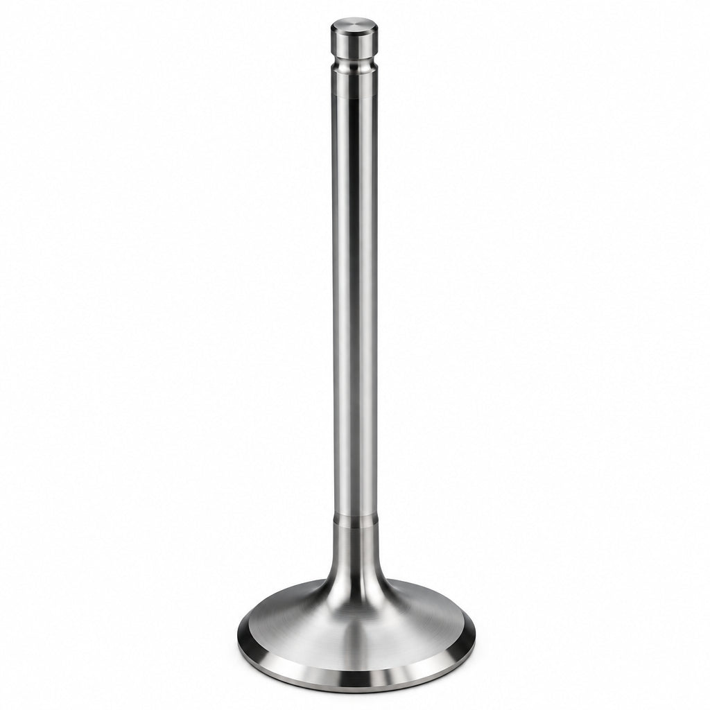 CT 5252 GM intake valve LS