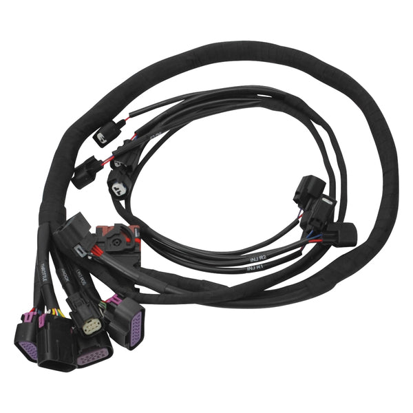 Edelbrock Pro-Flo 4+ EFI Engine Management System for Chevy Gen III/IV LS w/Tablet