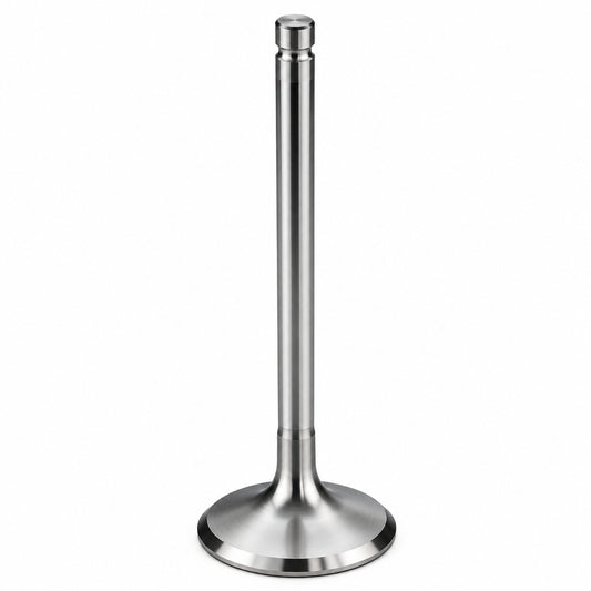 CT 5252 GM intake valve LS