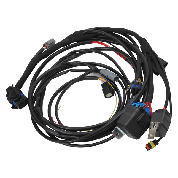Edelbrock Pro-Flo 4+ EFI Engine Management System for Chevy Gen III/IV LS w/Tablet