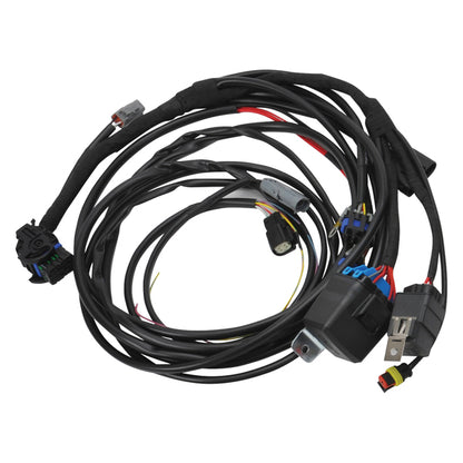 Edelbrock Pro-Flo 4+ EFI Engine Management System for Chevy Gen III/IV LS w/Tablet