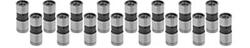Chevrolet Performance Hydraulic Flat Tappet Lifters